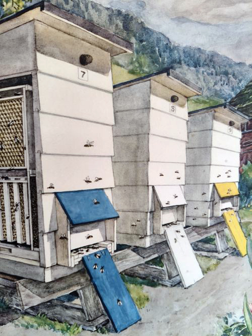 Slunga din egen honung